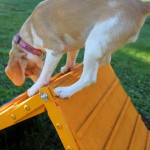 前門の空（Woof番外編）